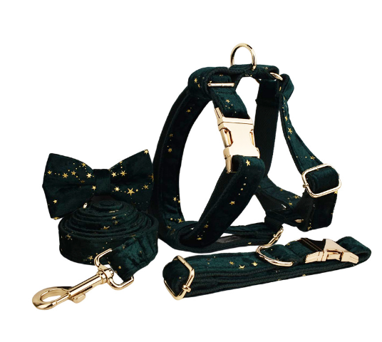 Velvet Dog Collar with Accessories Bundle