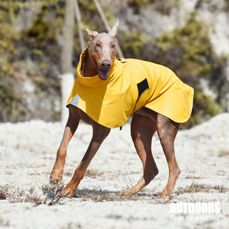 Dog Shell Raincoat, Waterproof & Windproof