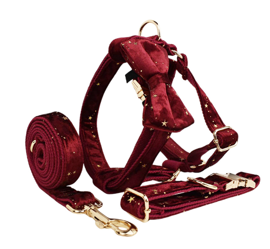 Velvet Dog Collar with Accessories Bundle