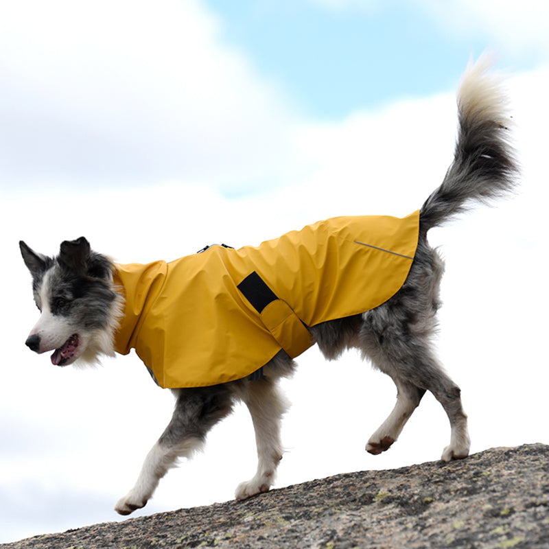 Dog Shell Raincoat, Waterproof & Windproof